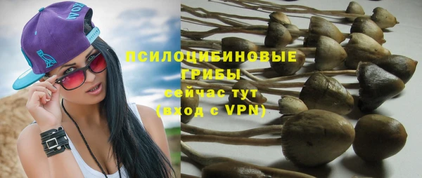 твердый Алексеевка