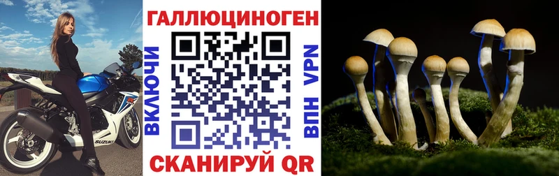 Галлюциногенные грибы GOLDEN TEACHER  наркотики  mega зеркало  Урюпинск 
