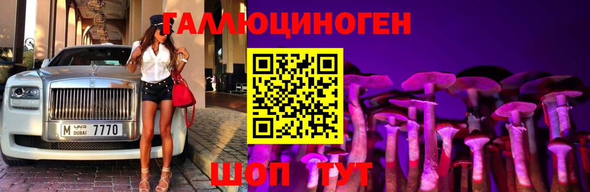 Урюпинск  купить наркоту  Вход с VPN  Псилоцибиновые грибы Magic Shrooms  Галлюциногенные грибы Psilocybine cubensis 